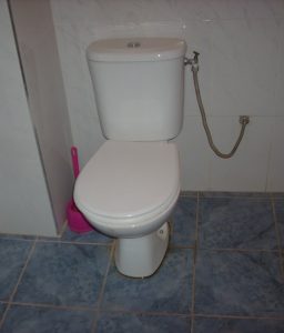 modern toilet replaced